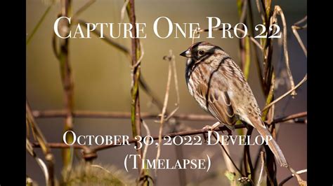 Capture One Pro 22 Free Full Download
